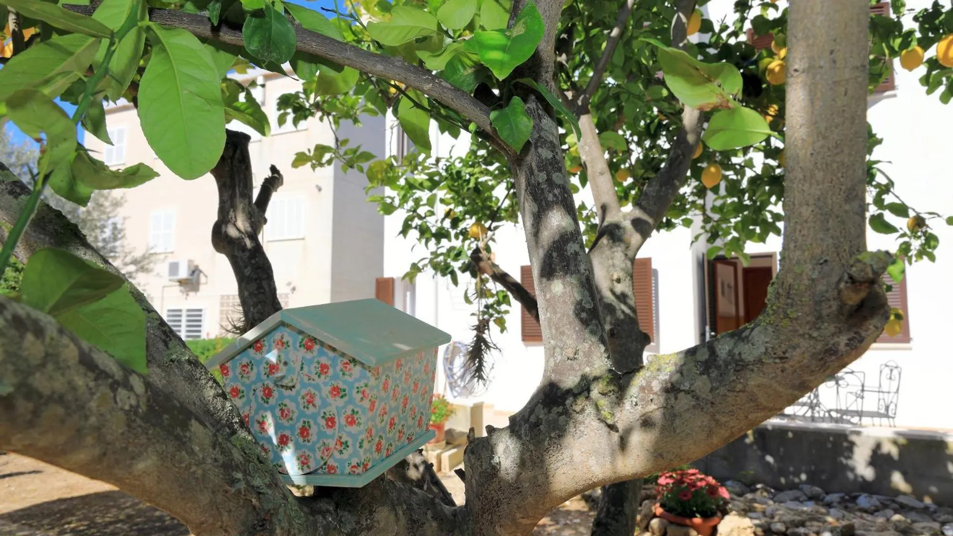 080 Casa Can Xim Etv8770 By Mallorca Charme الكوذيا 0*,  إسبانيا